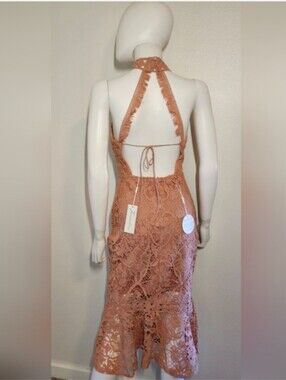 Coral Lace Backless Midi Dress NWT Two Sisters The Label TS258 Wedding Guest SZ4